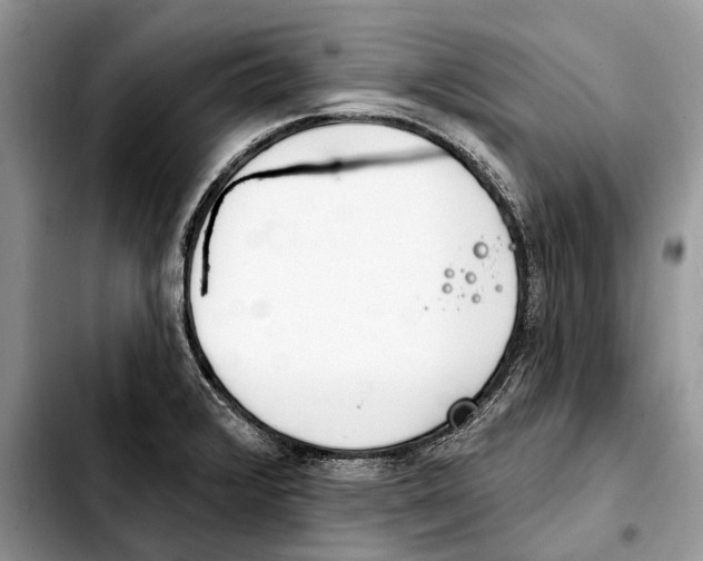 X0000103461376200810101140