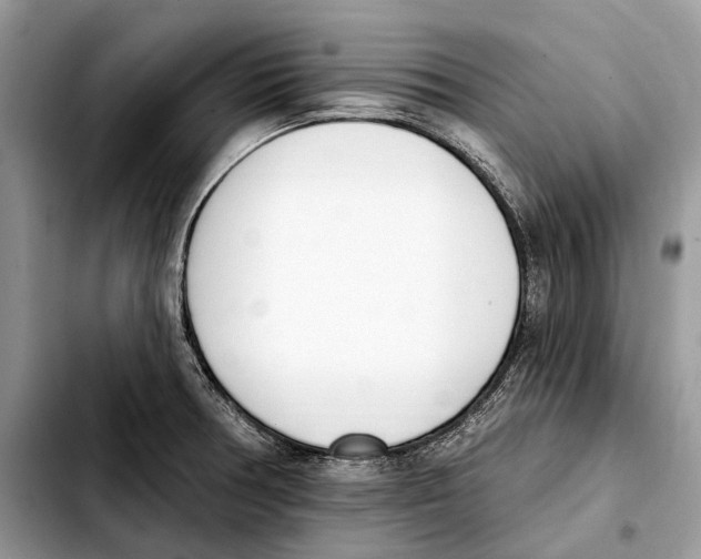 X0000103461378200810101140