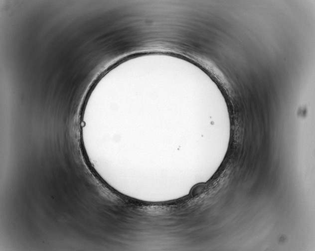X0000103461380200810101140