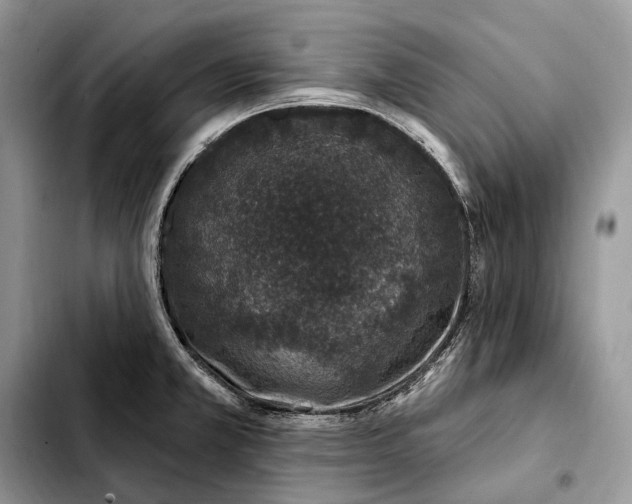 X0000103461381200810101140