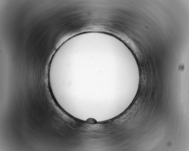 X0000103461382200810101140
