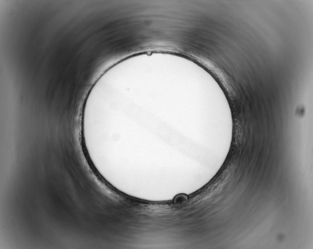 X0000103461383200810101140