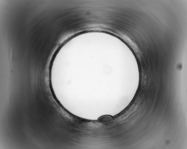 X0000103461384200810101140