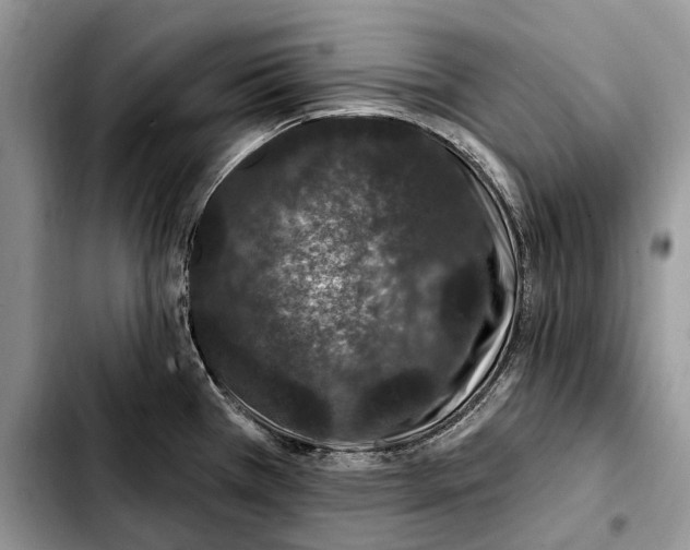 X0000103461385200810101140