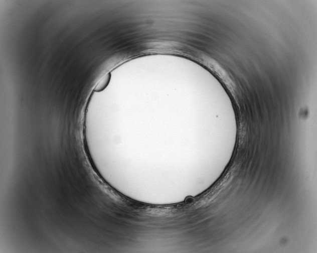 X0000103461386200810101140