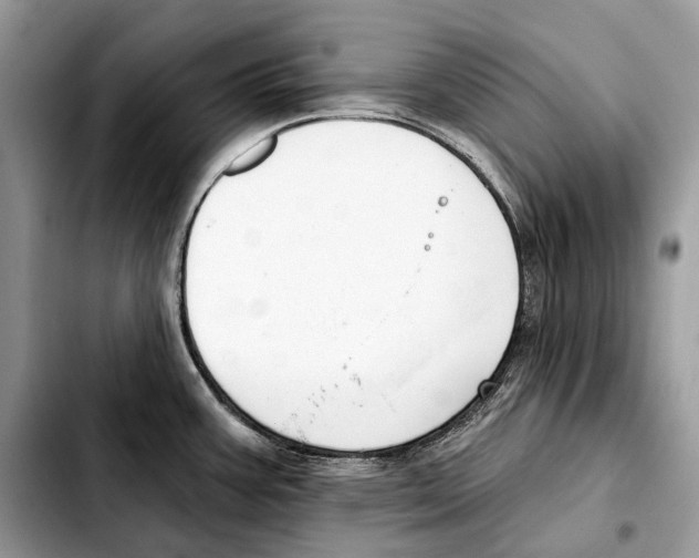 X0000103461387200810101140