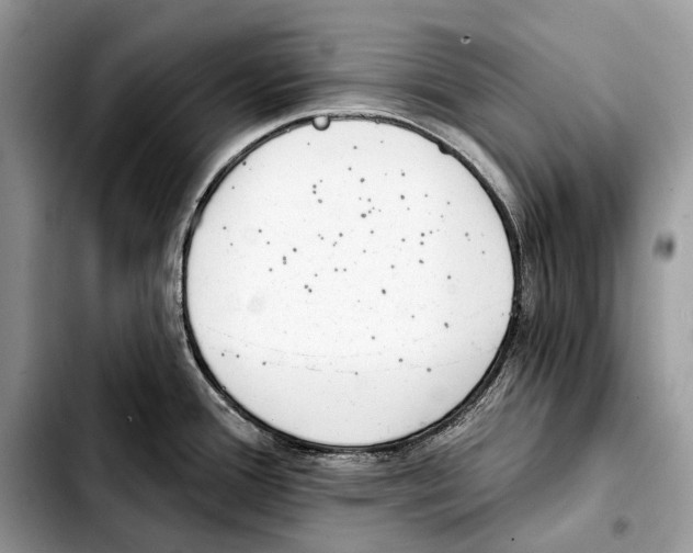 X0000103461388200810101140