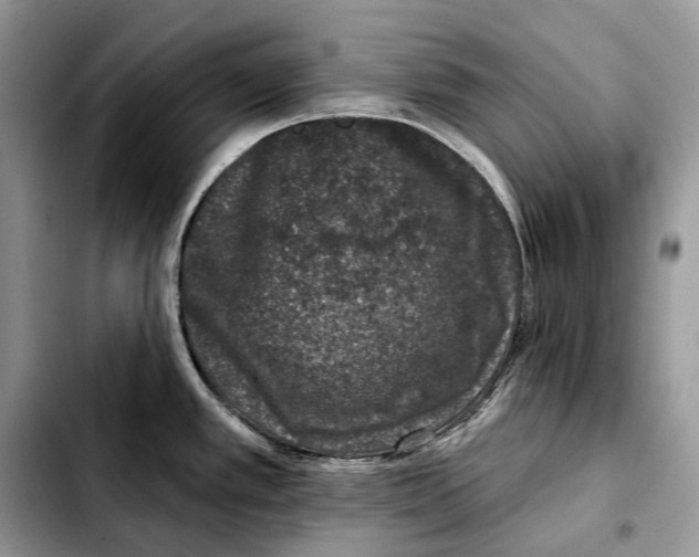 X0000103461389200810101140