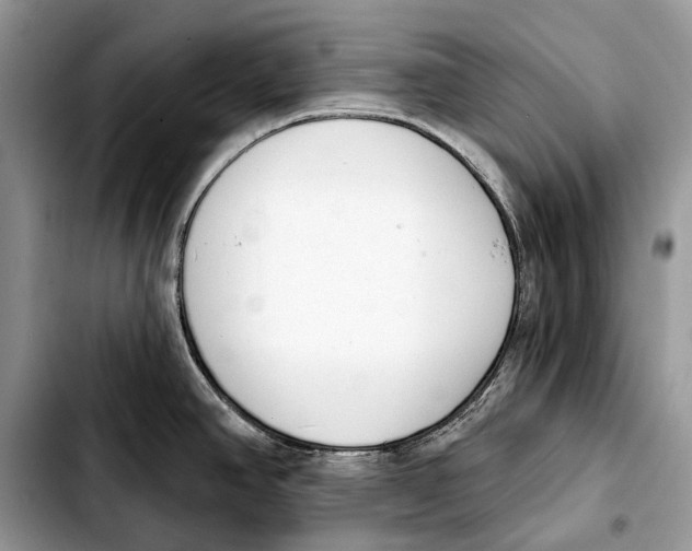 X0000103461390200810101140