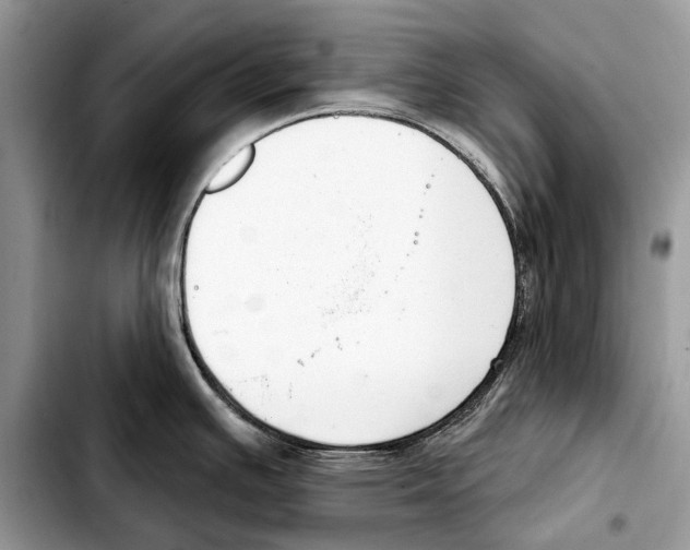 X0000103461391200810101140