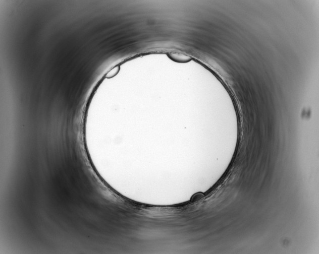 X0000103461392200810101140