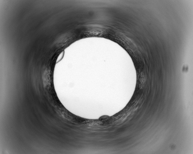 X0000103461394200810101139