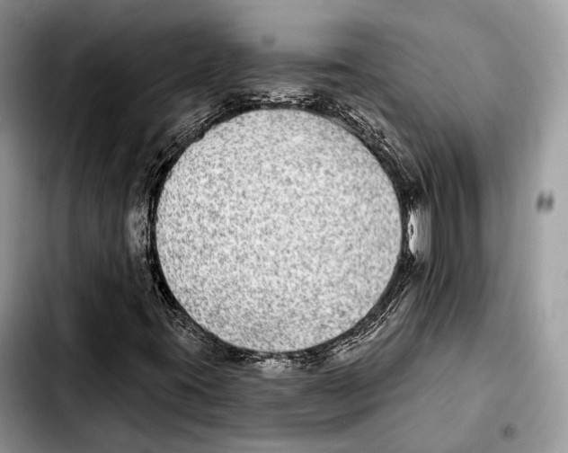 X0000103461395200810101139