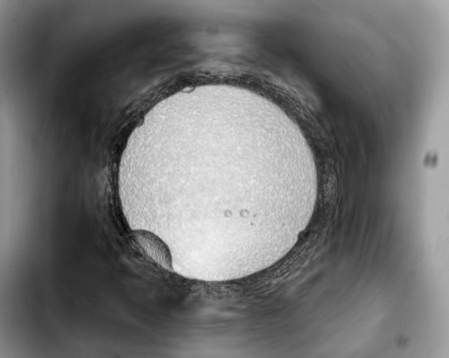 X0000103461397200810101139
