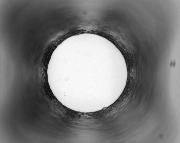 X0000103461398200810101139