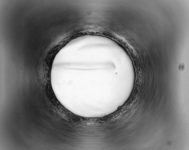 X0000103461399200810101139