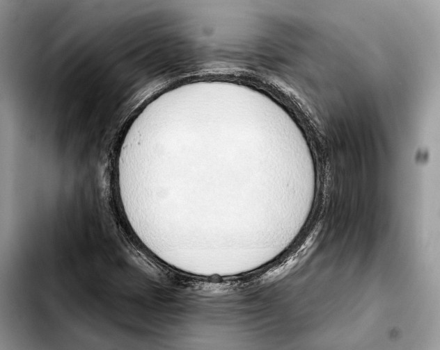 X0000103461401200810101139