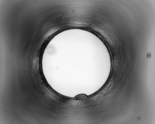 X0000103461402200810101139