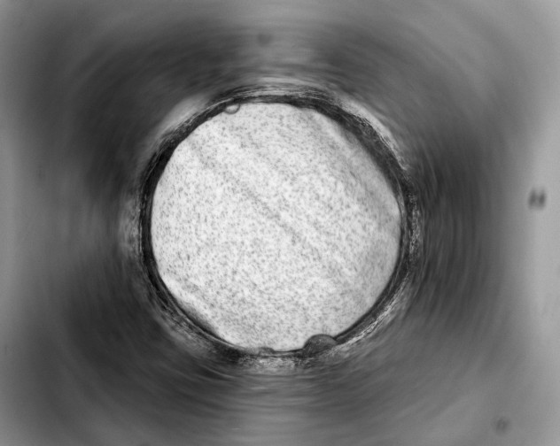 X0000103461403200810101139