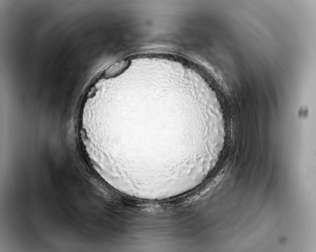 X0000103461405200810101139