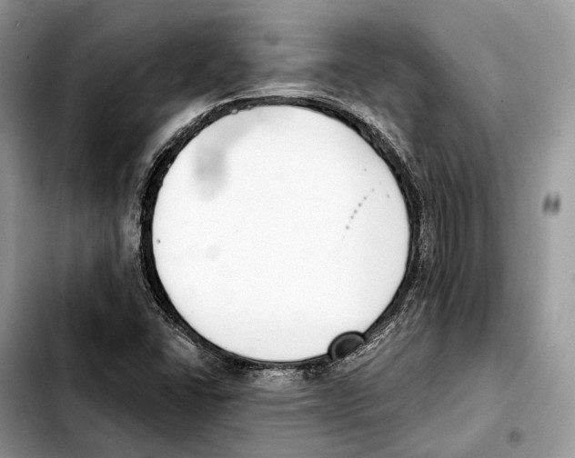 X0000103461406200810101139