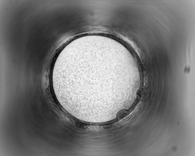 X0000103461407200810101139