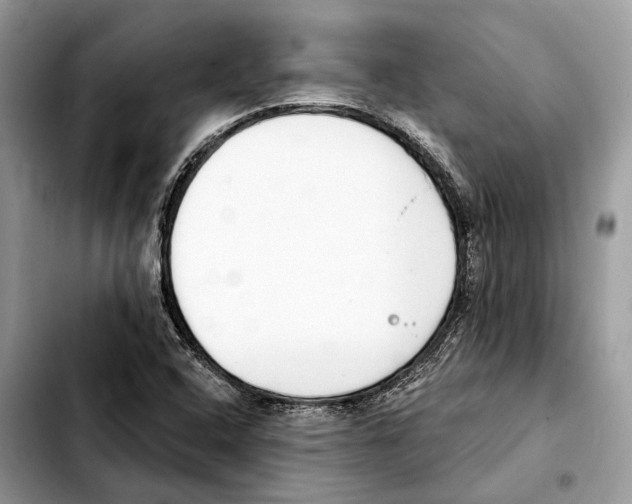 X0000103461408200810101139