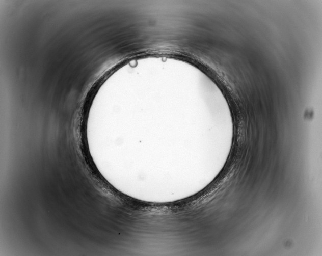 X0000103461410200810101139