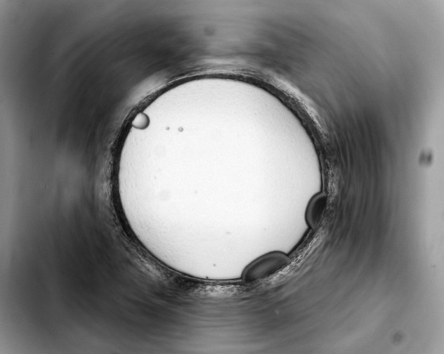 X0000103461411200810101140