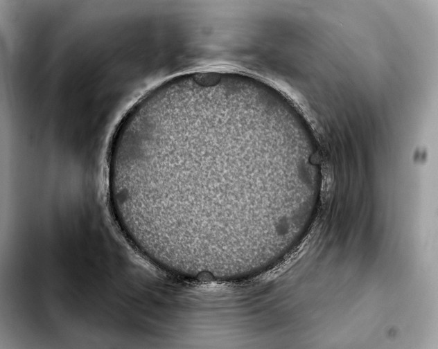 X0000103461414200810101140