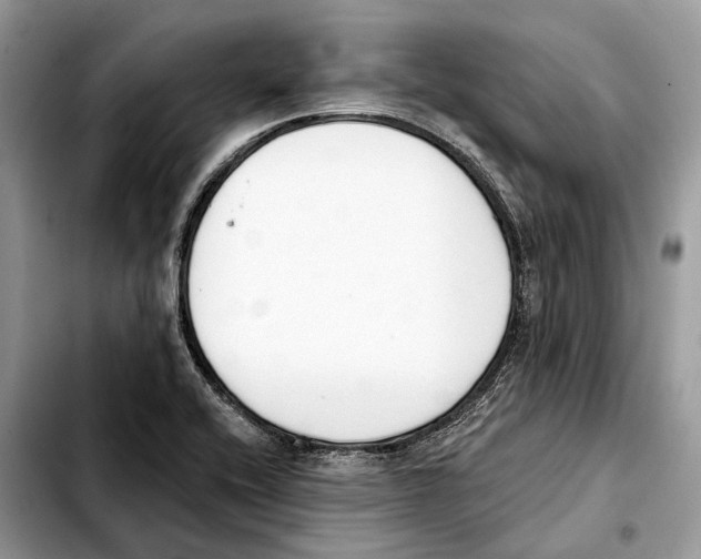 X0000103461416200810101140