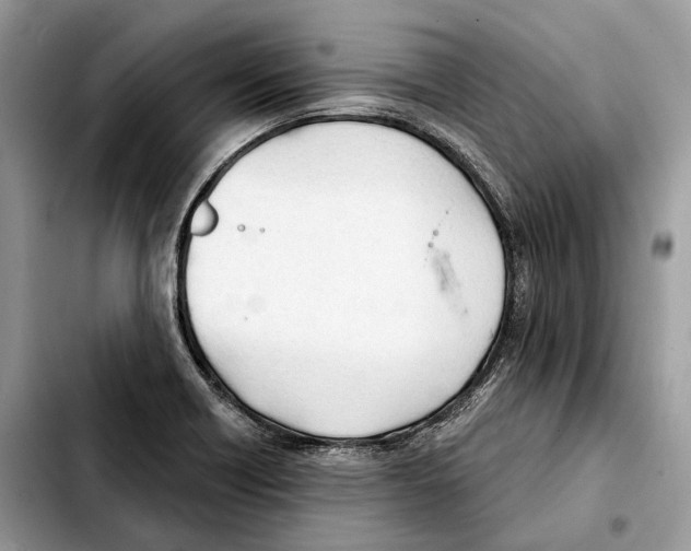 X0000103461418200810101140