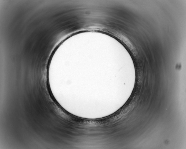 X0000103461420200810101140
