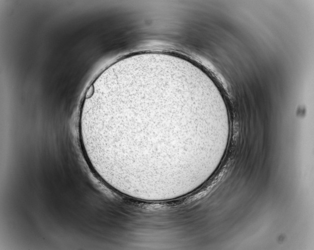 X0000103461421200810101140