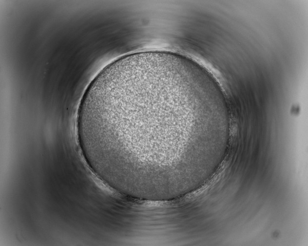 X0000103461423200810101140