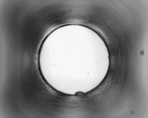 X0000103461424200810101140
