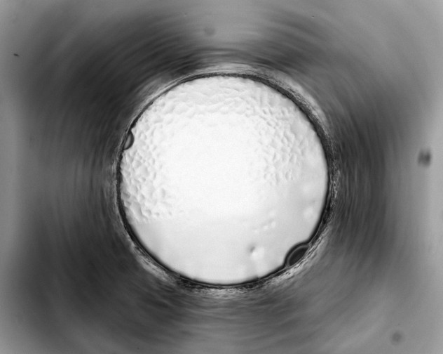 X0000103461425200810101140
