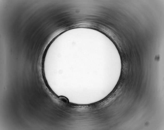 X0000103461426200810101140