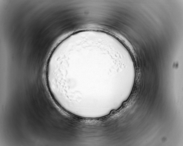 X0000103461429200810101140