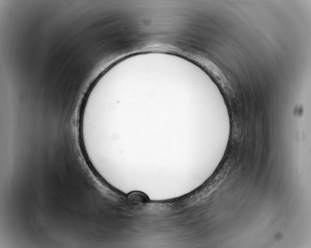 X0000103461430200810101140