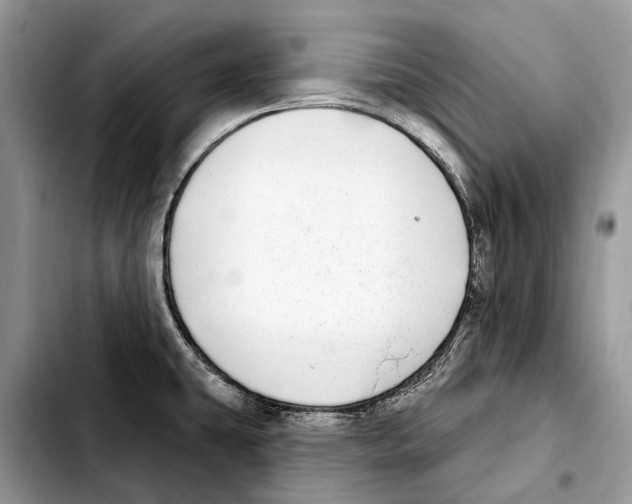 X0000103461431200810101140