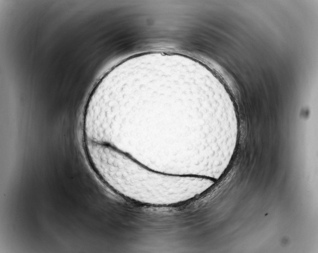 X0000103461432200810101140
