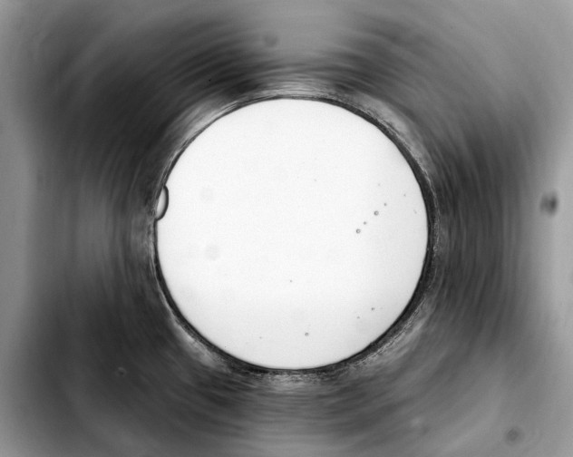 X0000103461433200810101140