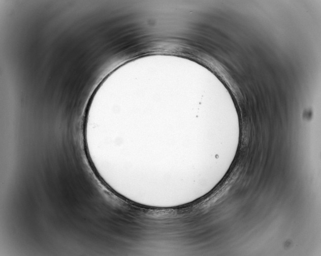 X0000103461434200810101140