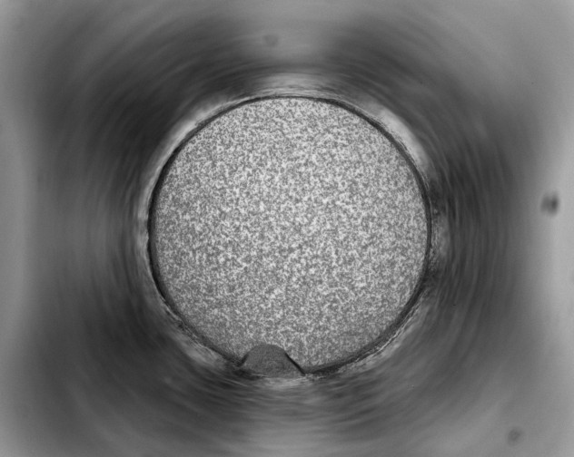 X0000103461435200810101140