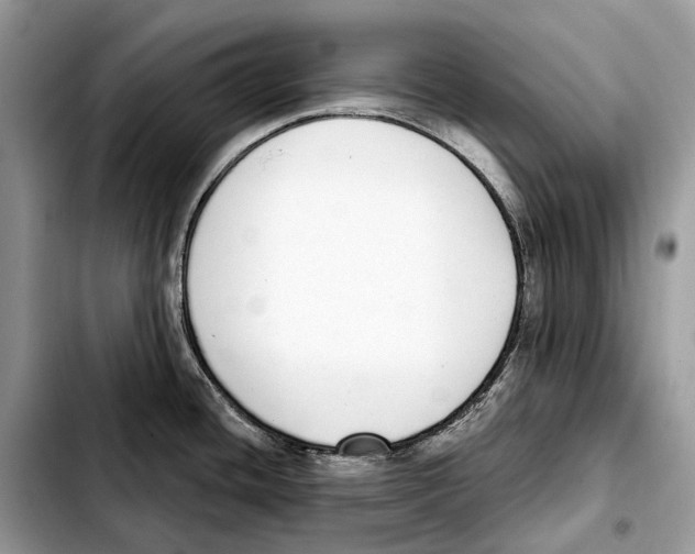 X0000103461436200810101140