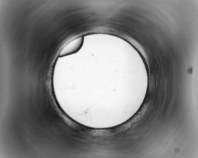 X0000103461437200810101140