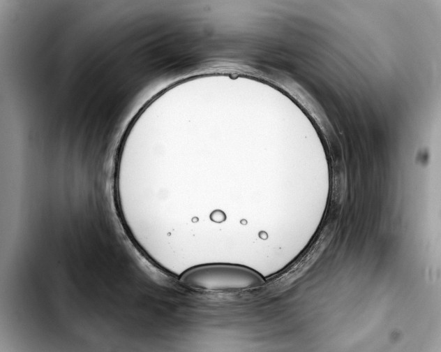 X0000103461438200810101140