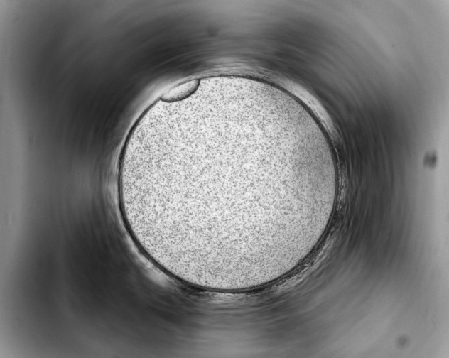 X0000103461439200810101140