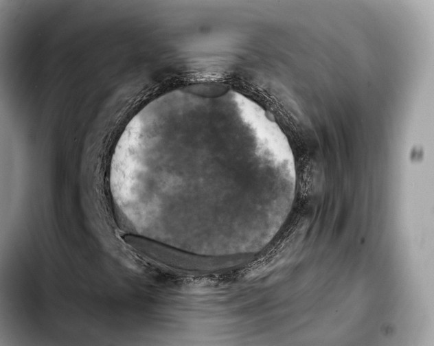 X0000103461441200810101139